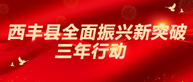 西丰县全面振兴新突破三年行动